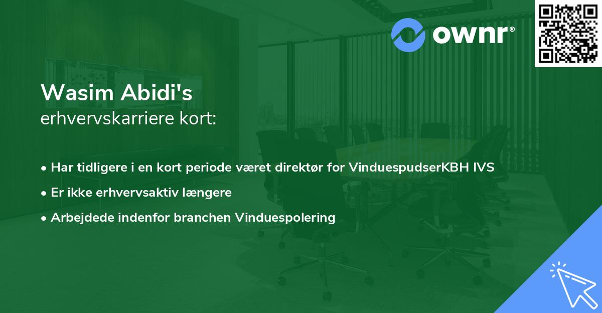 Wasim Abidi's erhvervskarriere kort