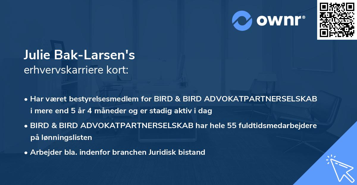 Julie Bak-Larsen's erhvervskarriere kort