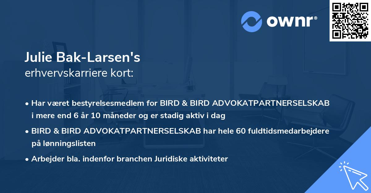 Julie Bak-Larsen's erhvervskarriere kort