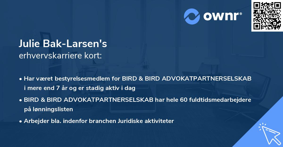 Julie Bak-Larsen's erhvervskarriere kort