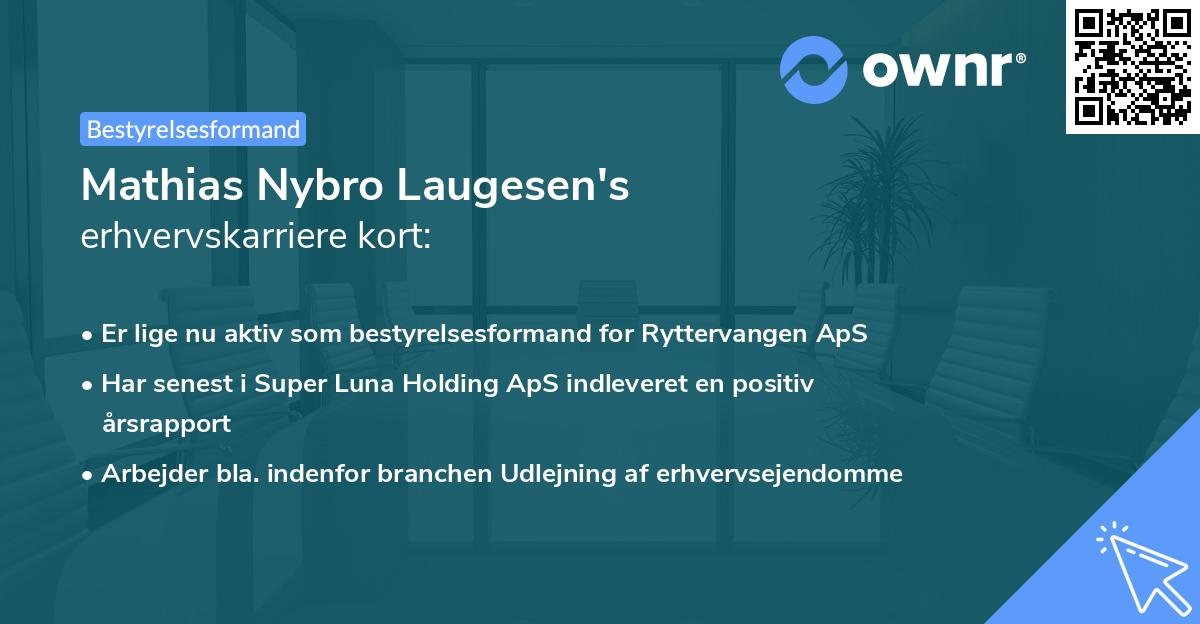 Mathias Nybro Laugesen's erhvervskarriere kort