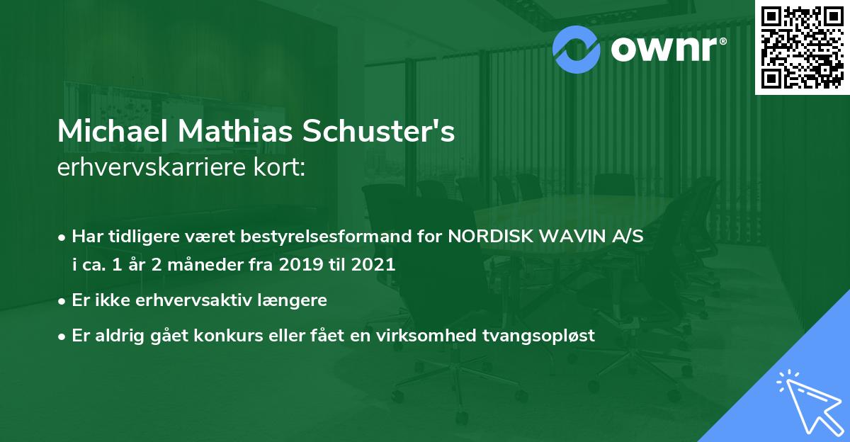 Michael Mathias Schuster's erhvervskarriere kort