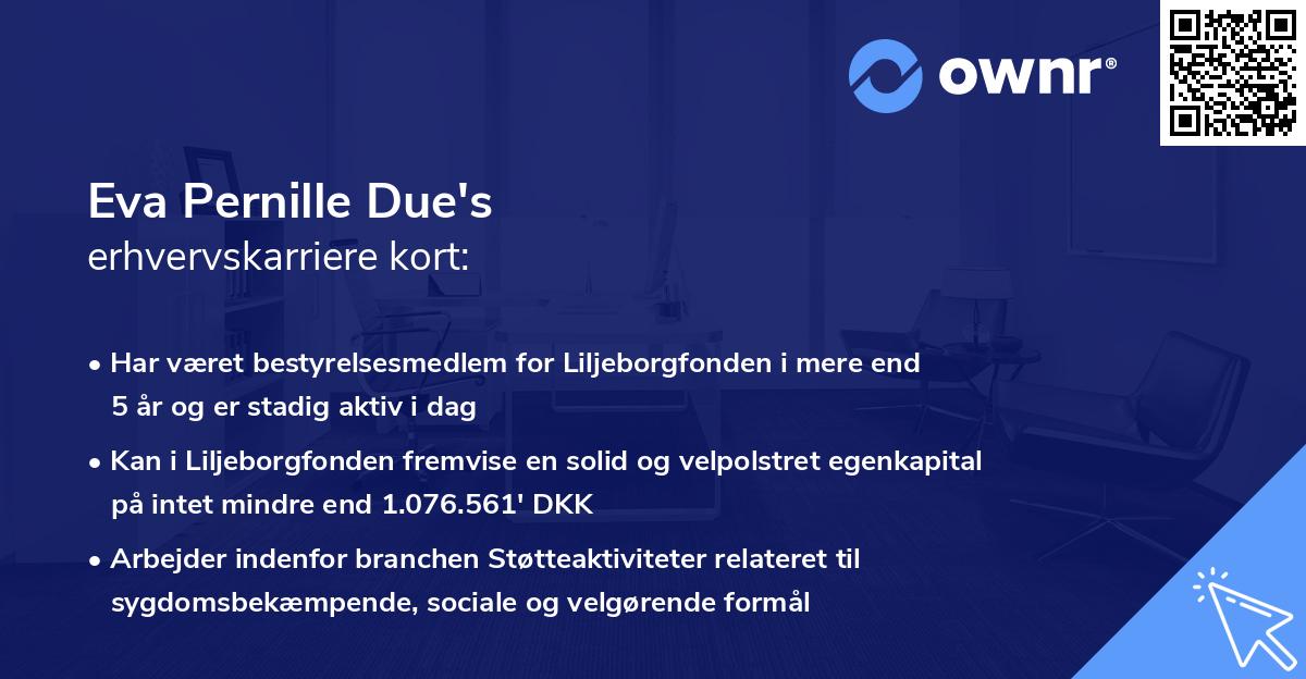 Eva Pernille Due's erhvervskarriere kort