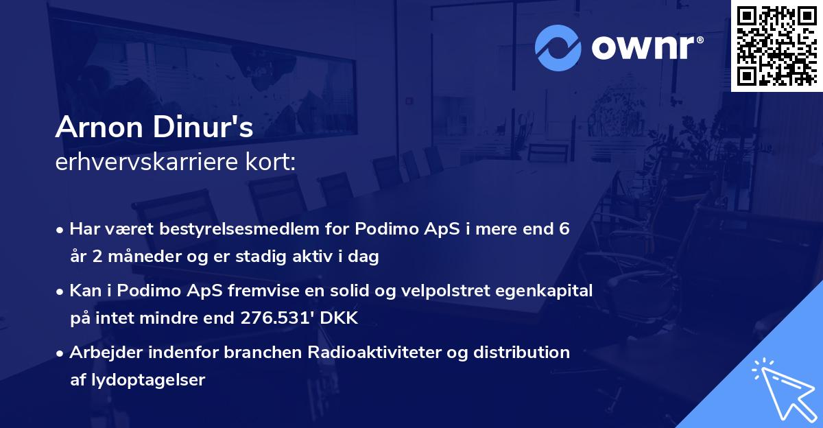 Arnon Dinur's erhvervskarriere kort