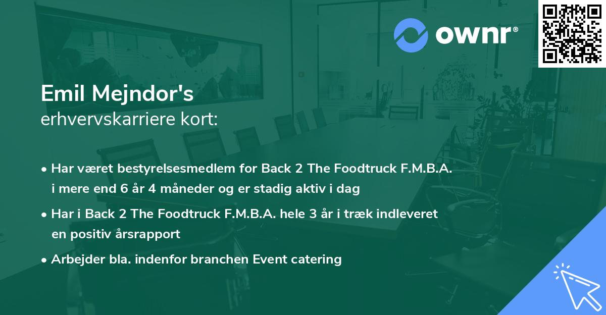 Emil Mejndor's erhvervskarriere kort