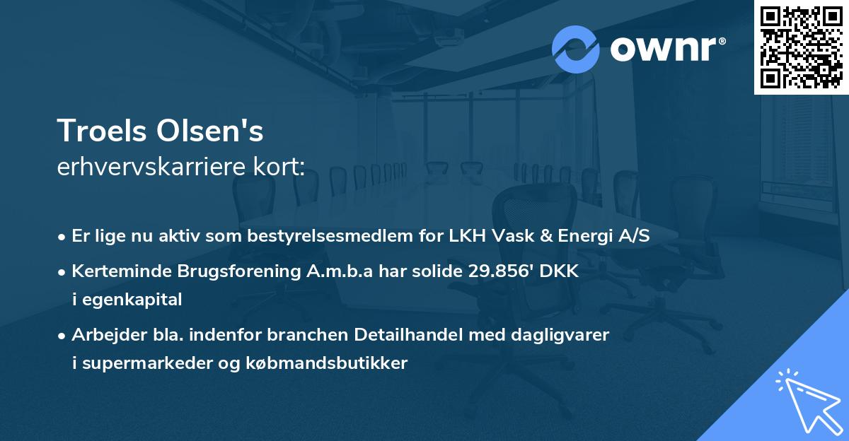Troels Olsen's erhvervskarriere kort