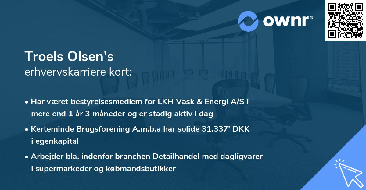 Troels Olsen's erhvervskarriere kort