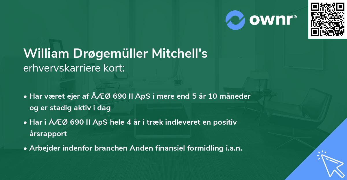 William Drøgemüller Mitchell's erhvervskarriere kort