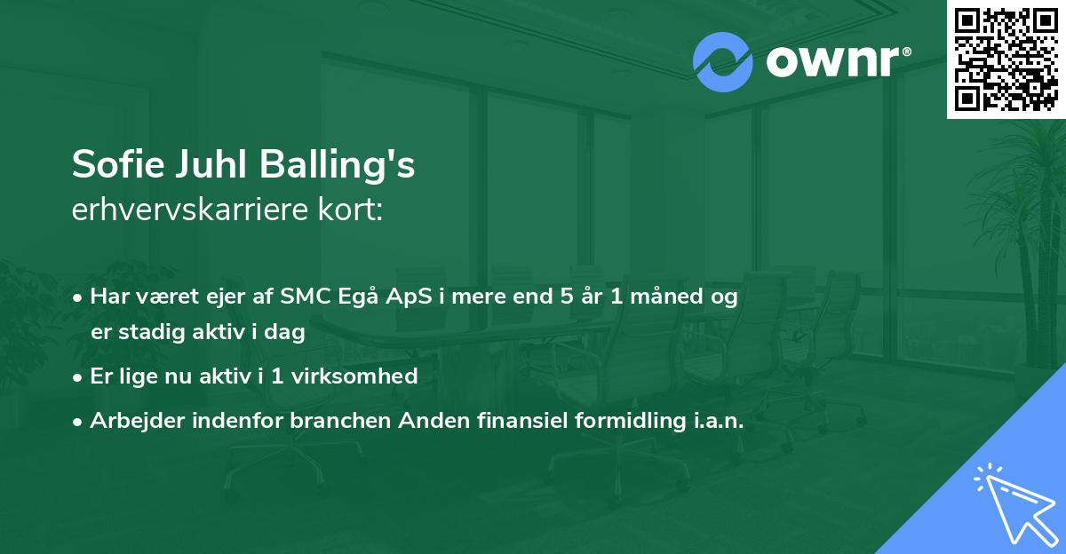 Sofie Juhl Balling's erhvervskarriere kort