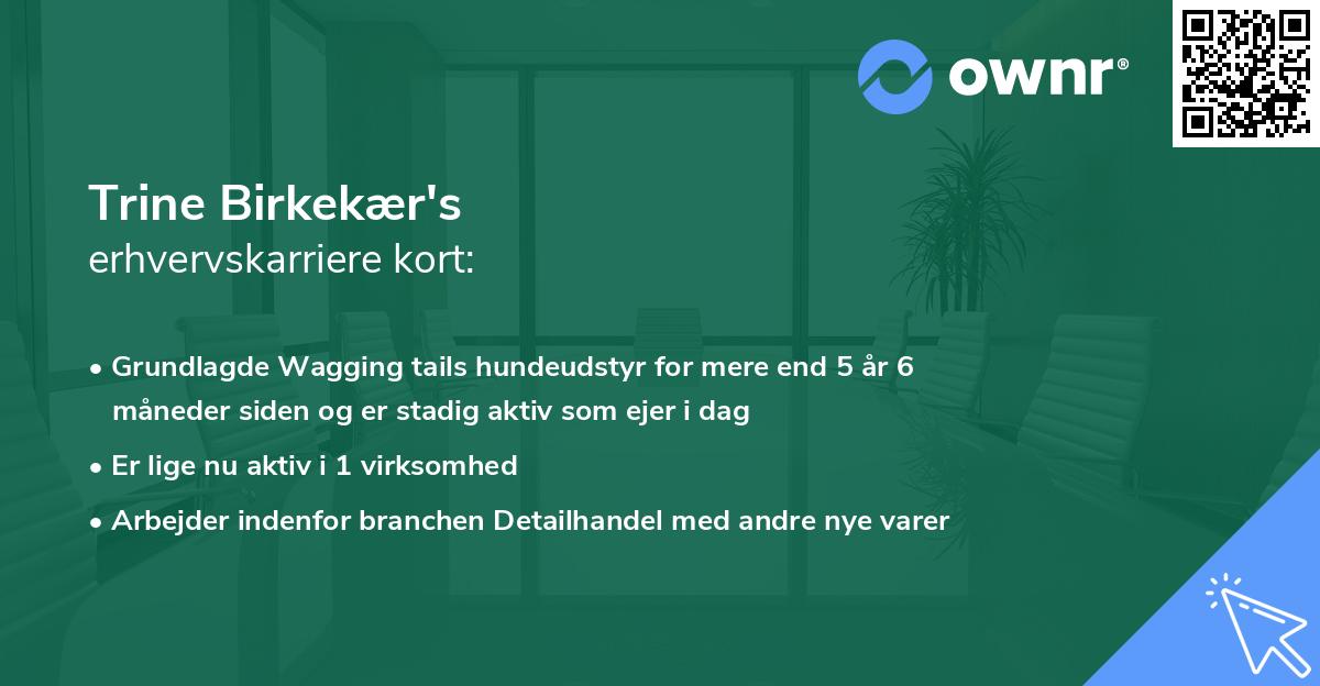 Trine Birkekær's erhvervskarriere kort