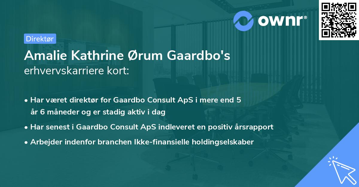 Amalie Kathrine Ørum Gaardbo's erhvervskarriere kort