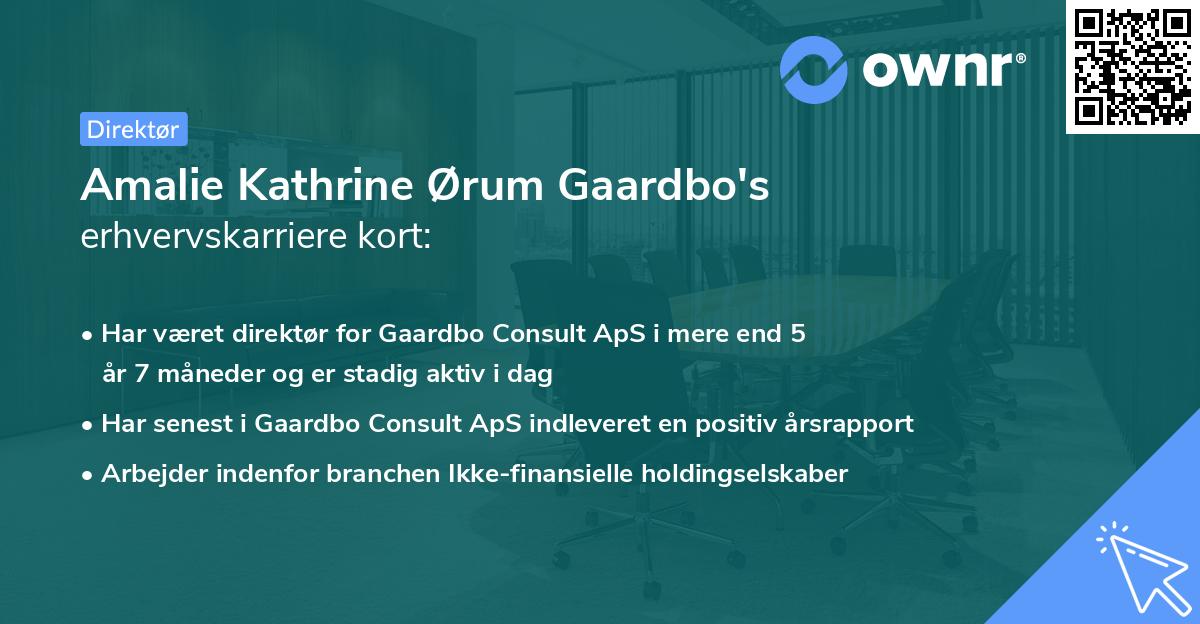 Amalie Kathrine Ørum Gaardbo's erhvervskarriere kort