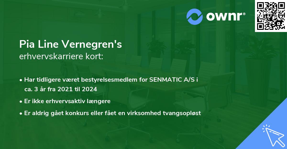 Pia Line Vernegren's erhvervskarriere kort