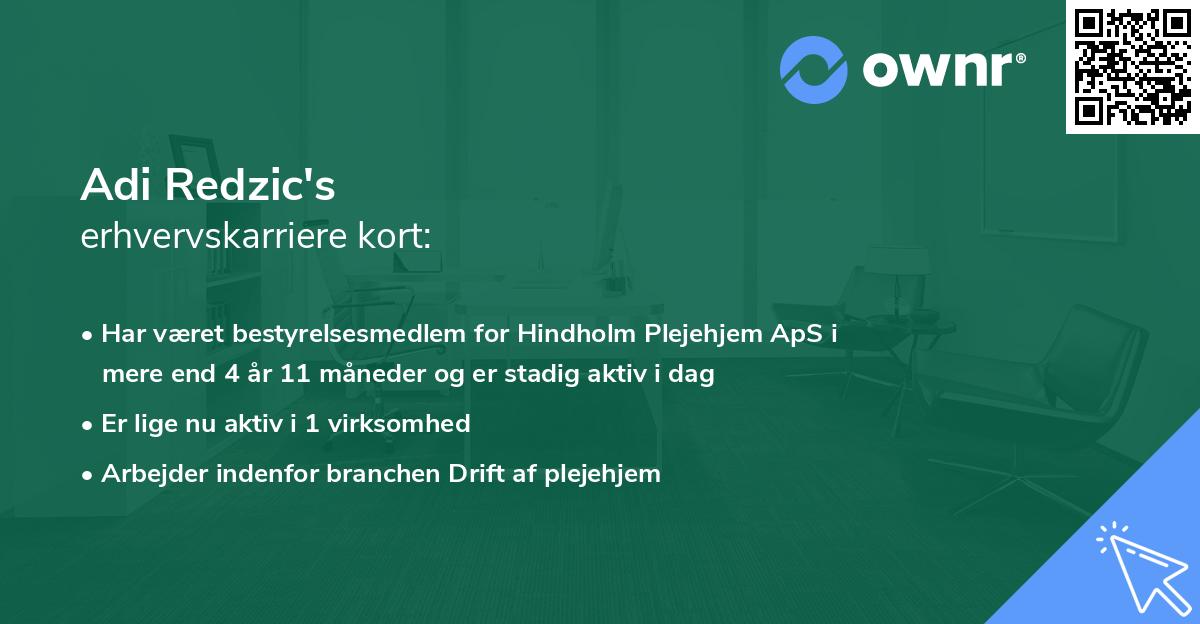 Adi Redzic's erhvervskarriere kort