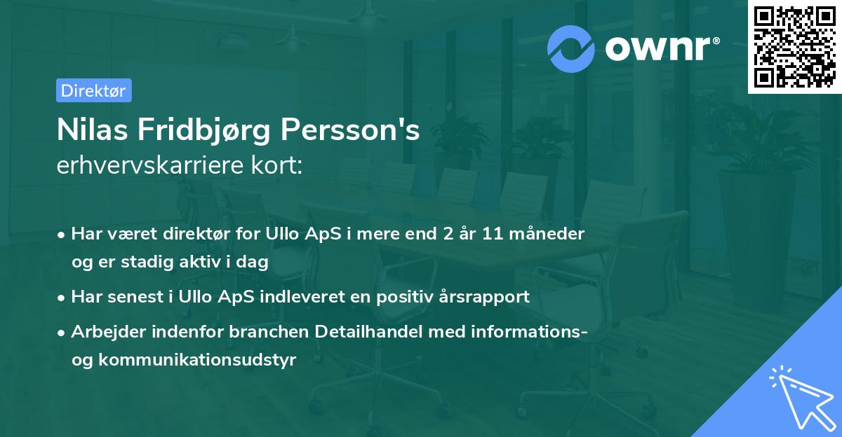 Nilas Fridbjørg Persson's erhvervskarriere kort