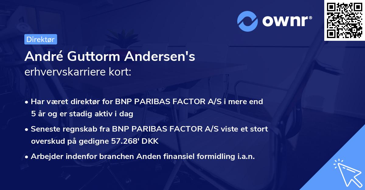 André Guttorm Andersen's erhvervskarriere kort