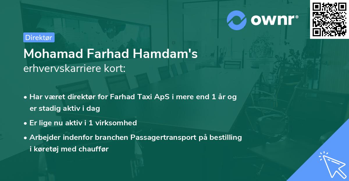 Mohamad Farhad Hamdam's erhvervskarriere kort