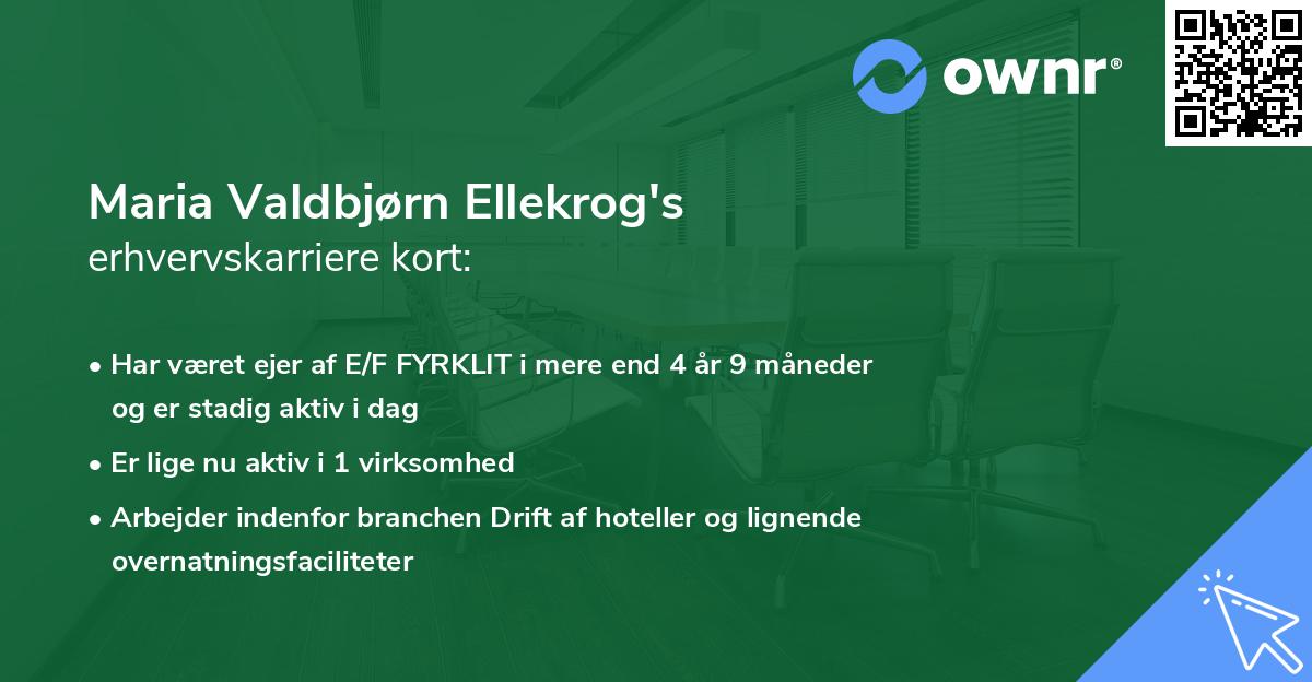 Maria Valdbjørn Ellekrog's erhvervskarriere kort