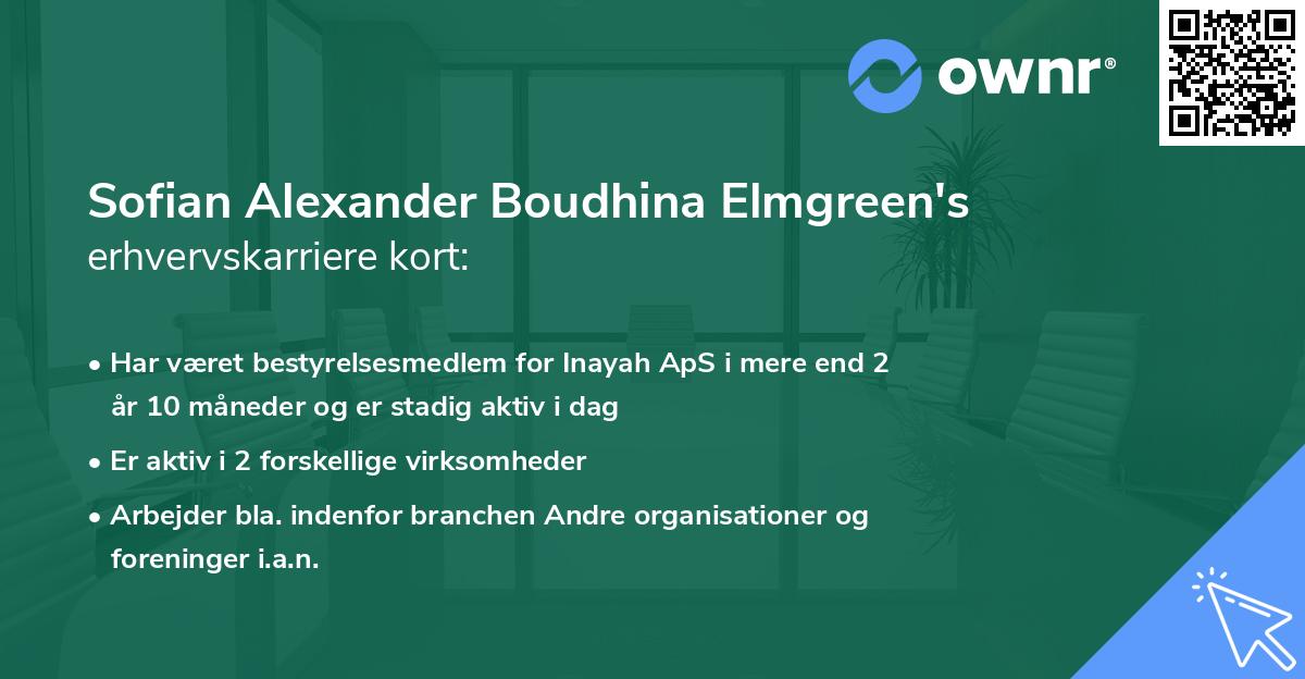 Sofian Alexander Boudhina Elmgreen's erhvervskarriere kort