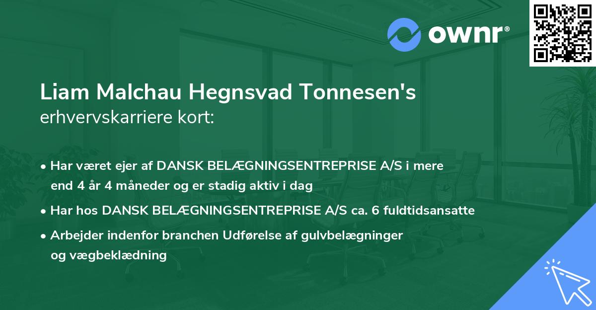 Liam Malchau Hegnsvad Tonnesen's erhvervskarriere kort