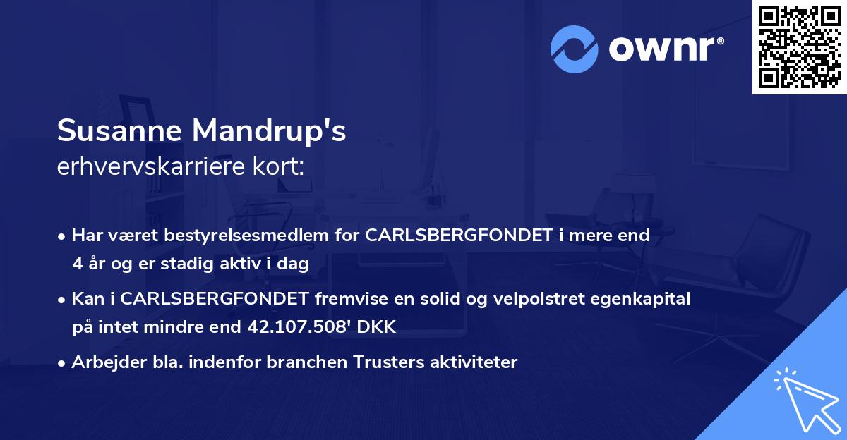 Susanne Mandrup's erhvervskarriere kort