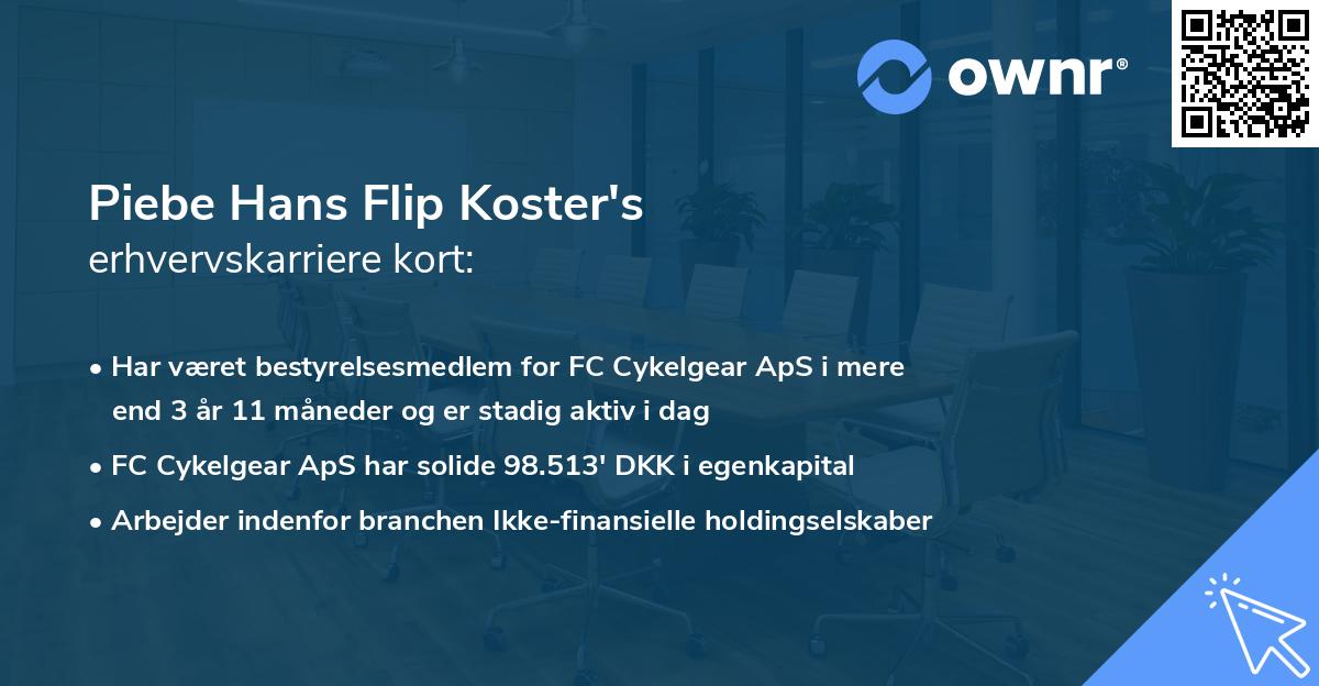 Piebe Hans Flip Koster's erhvervskarriere kort