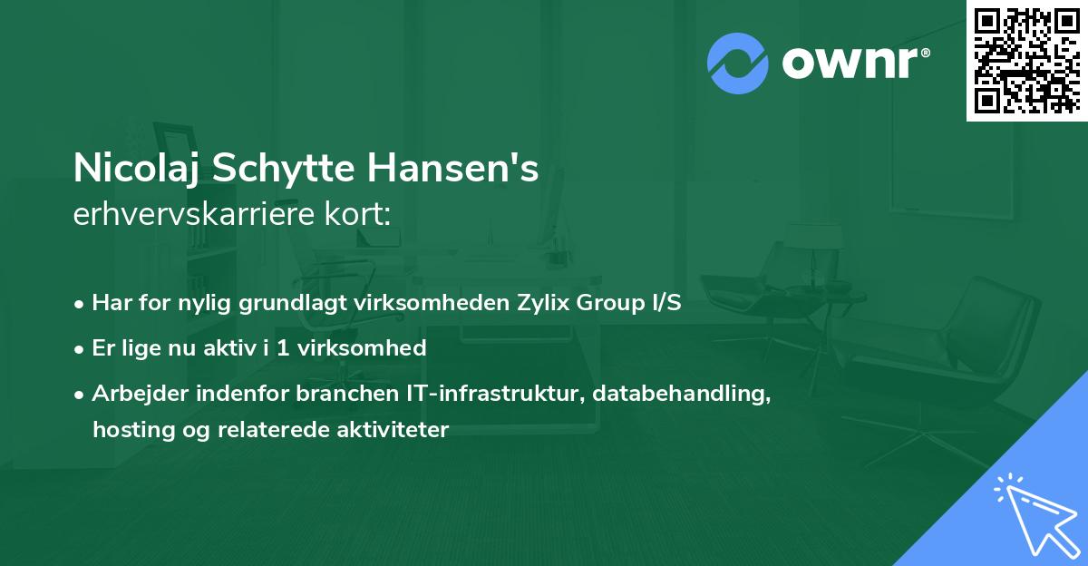 Nicolaj Schytte Hansen's erhvervskarriere kort