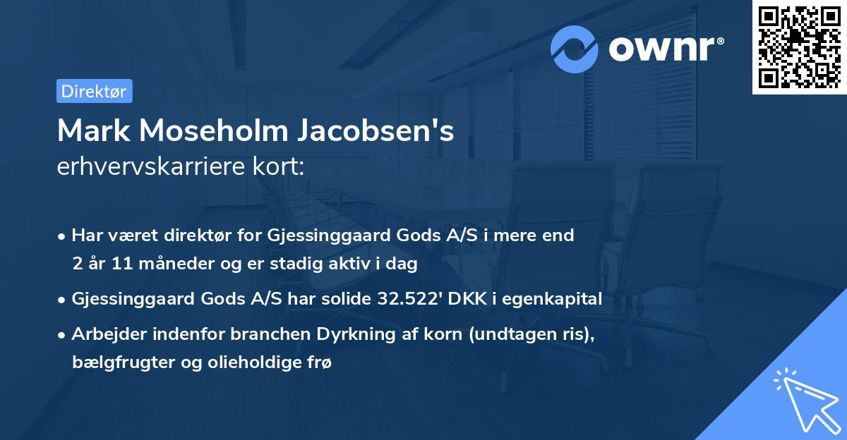Mark Moseholm Jacobsen's erhvervskarriere kort