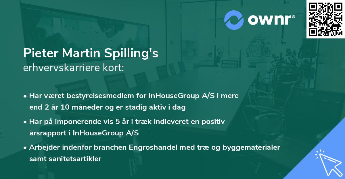Pieter Martin Spilling's erhvervskarriere kort