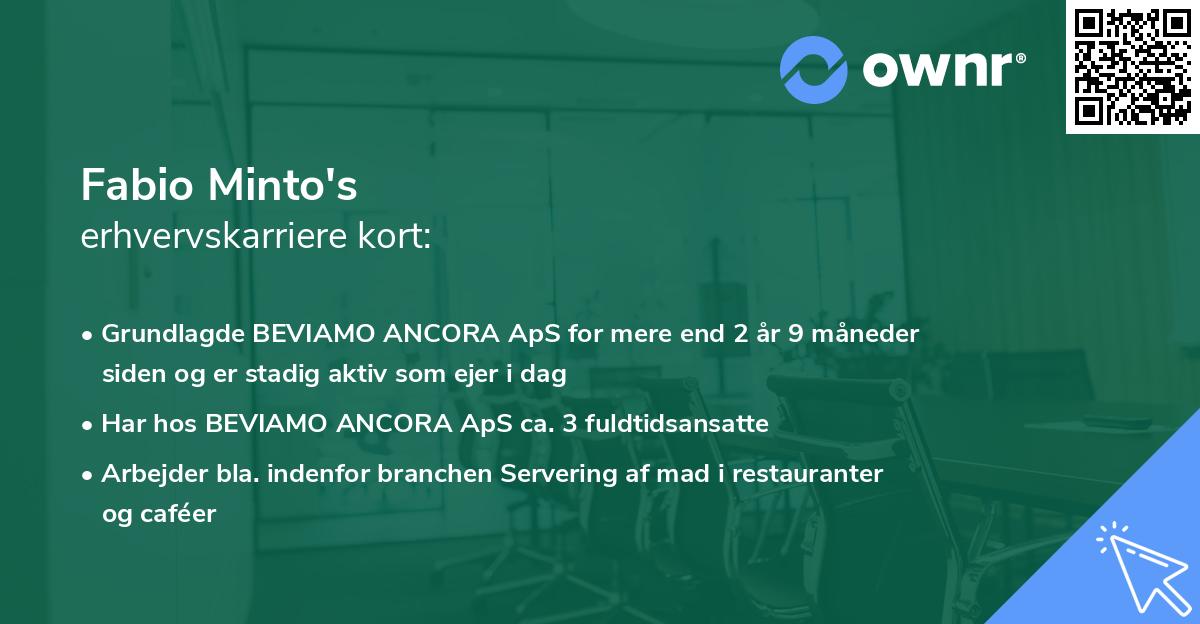 Fabio Minto's erhvervskarriere kort