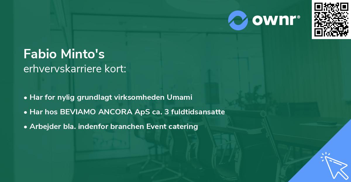 Fabio Minto's erhvervskarriere kort