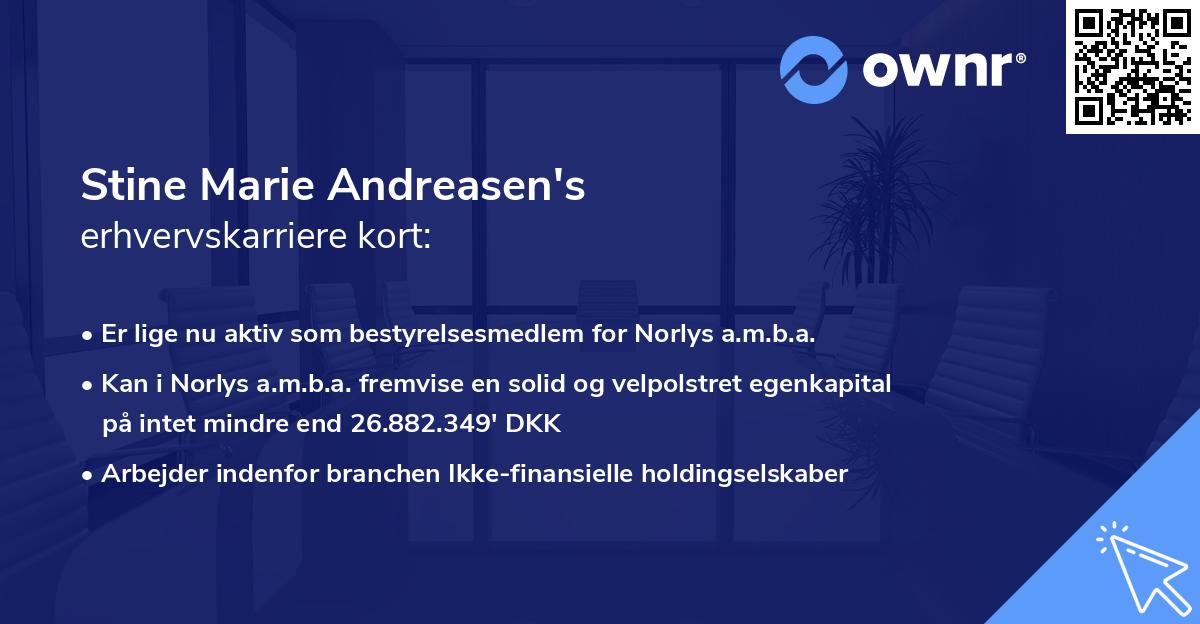 Stine Marie Andreasen's erhvervskarriere kort