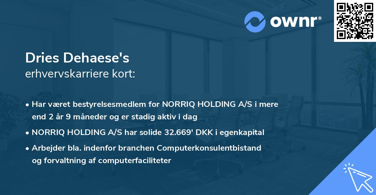 Dries Dehaese's erhvervskarriere kort