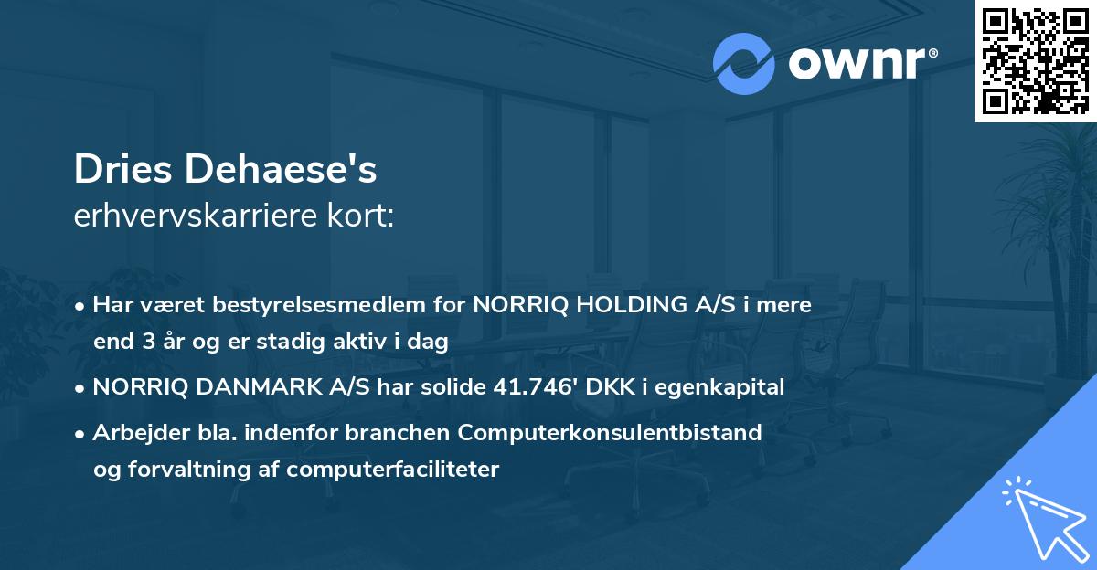 Dries Dehaese's erhvervskarriere kort