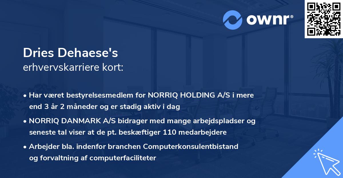 Dries Dehaese's erhvervskarriere kort