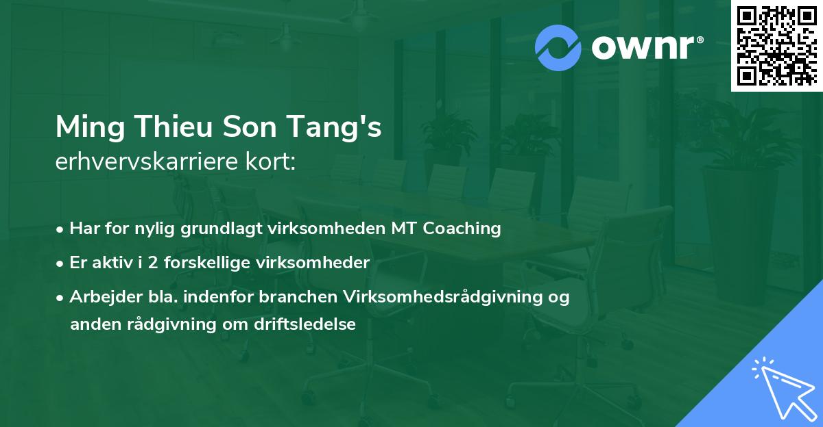 Ming Thieu Son Tang's erhvervskarriere kort