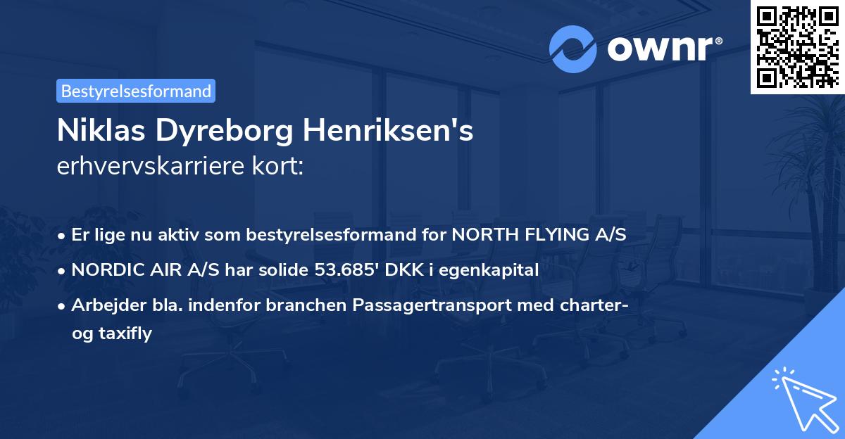 Niklas Dyreborg Henriksen's erhvervskarriere kort