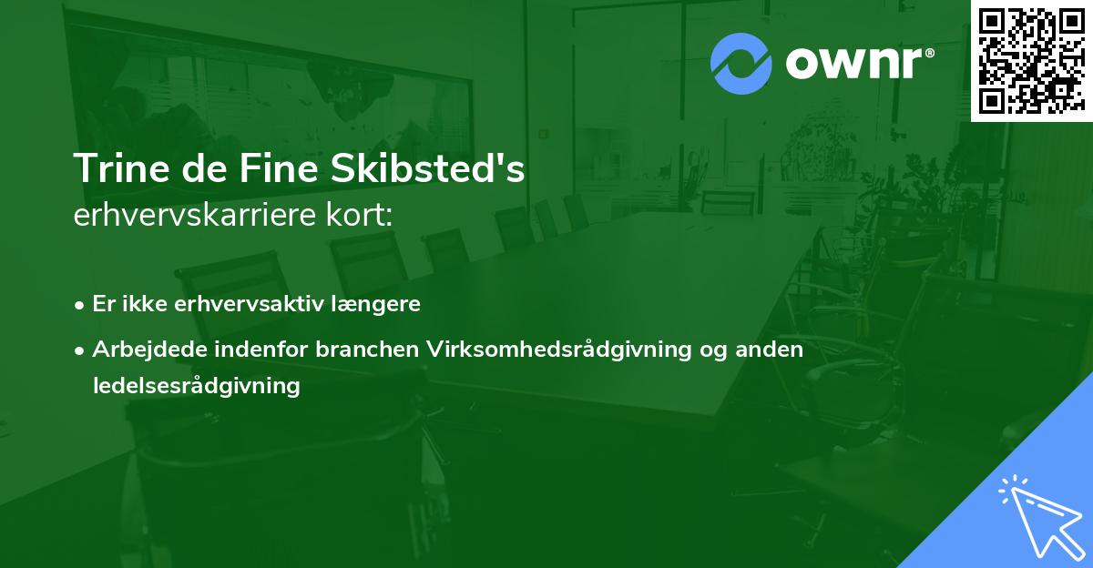 Trine de Fine Skibsted's erhvervskarriere kort
