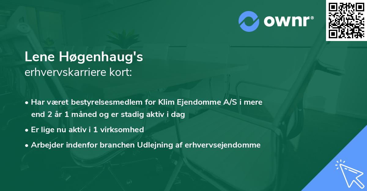 Lene Høgenhaug's erhvervskarriere kort