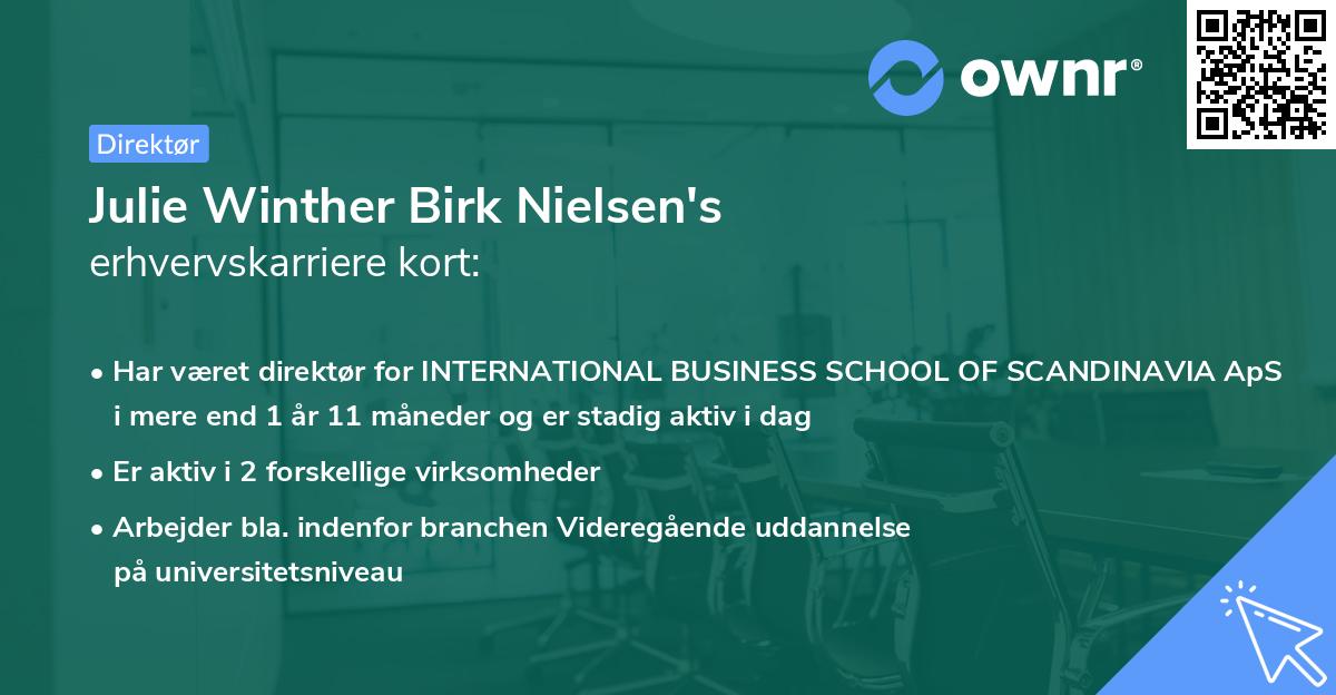 Julie Winther Birk Nielsen's erhvervskarriere kort