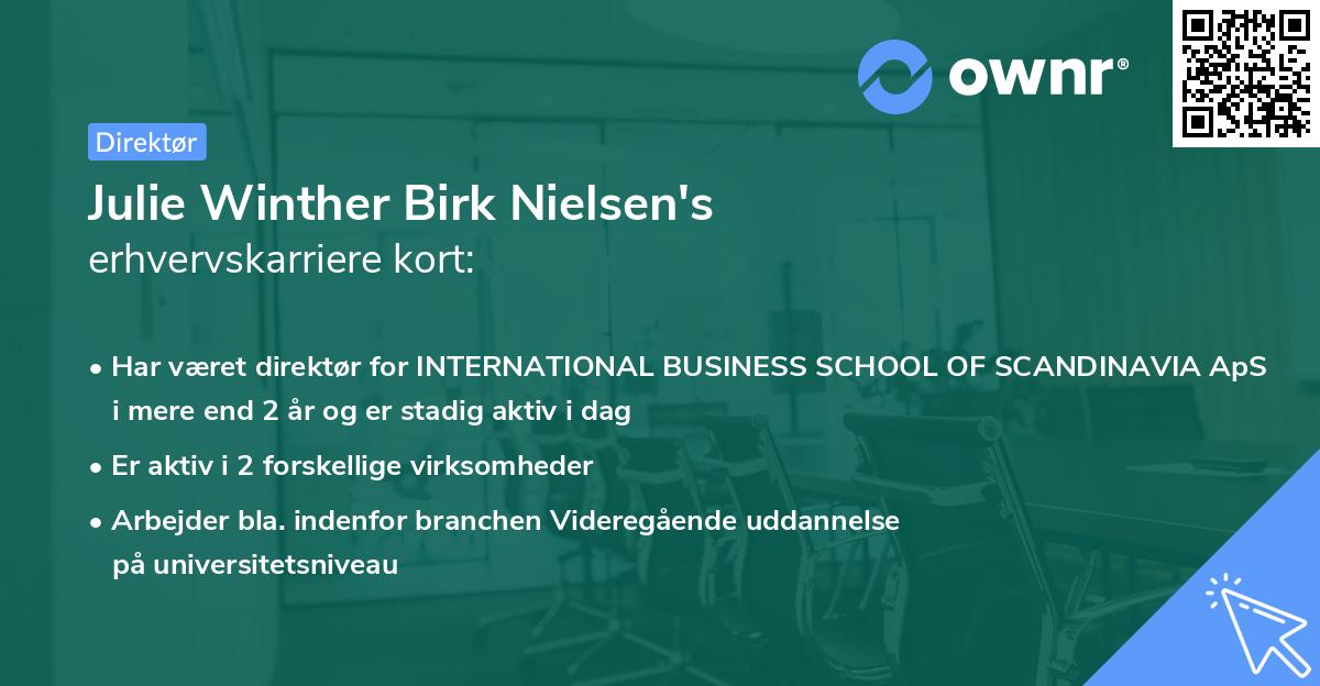 Julie Winther Birk Nielsen's erhvervskarriere kort