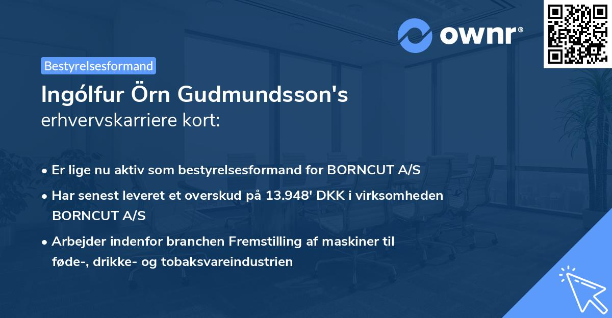 Ingólfur Örn Gudmundsson's erhvervskarriere kort