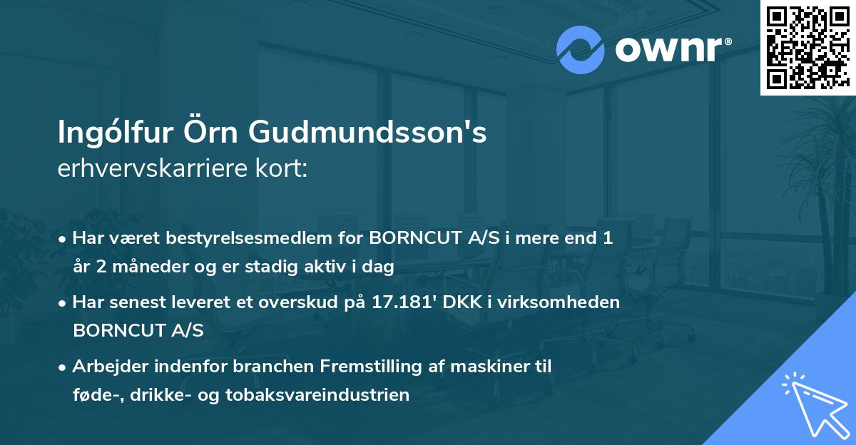 Ingólfur Örn Gudmundsson's erhvervskarriere kort