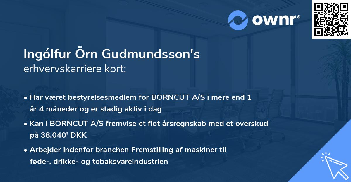 Ingólfur Örn Gudmundsson's erhvervskarriere kort
