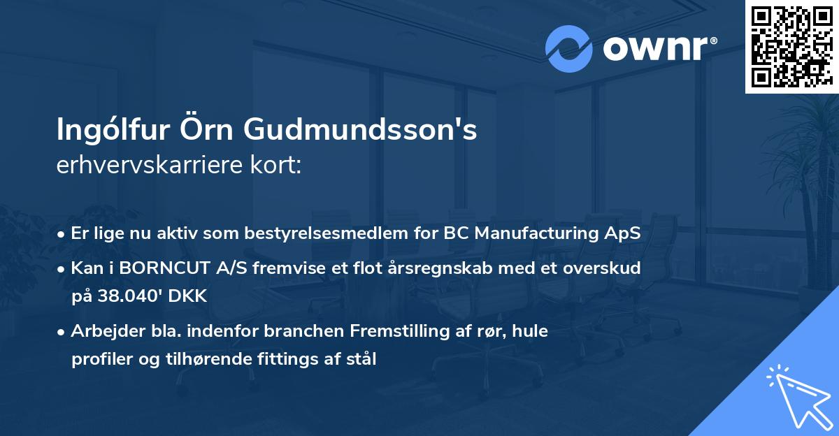 Ingólfur Örn Gudmundsson's erhvervskarriere kort
