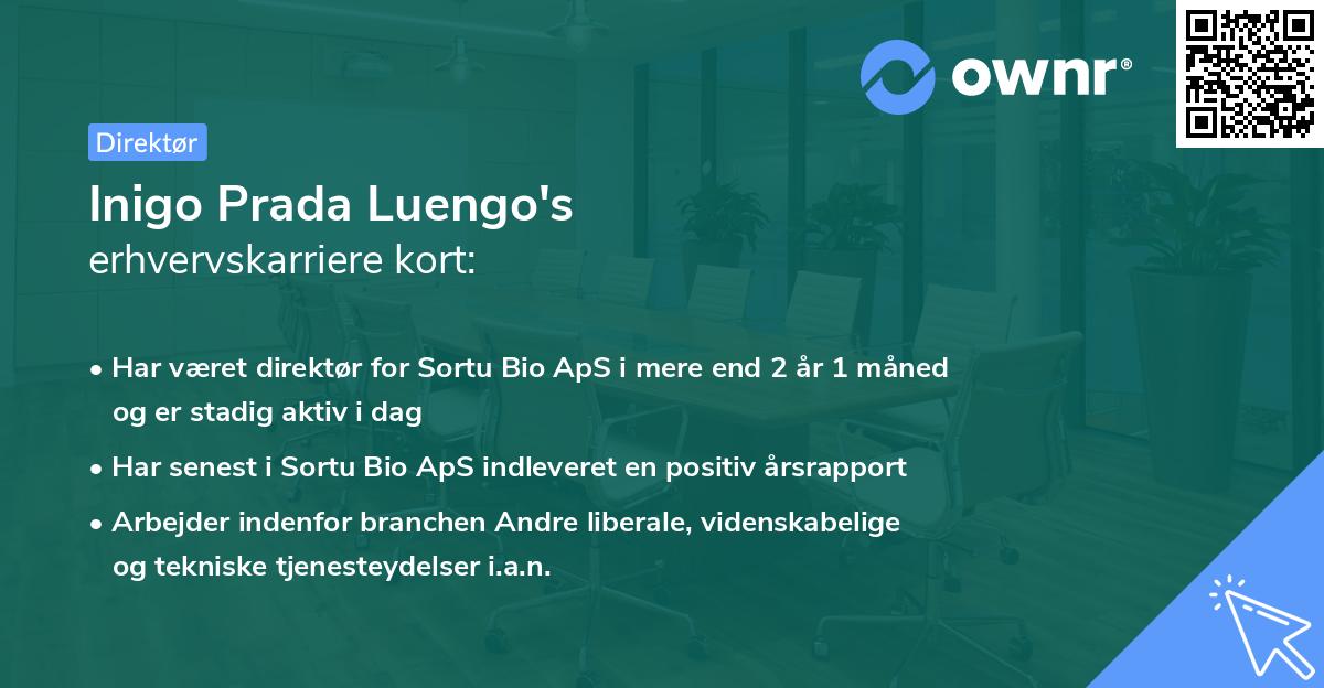 Inigo Prada Luengo's erhvervskarriere kort