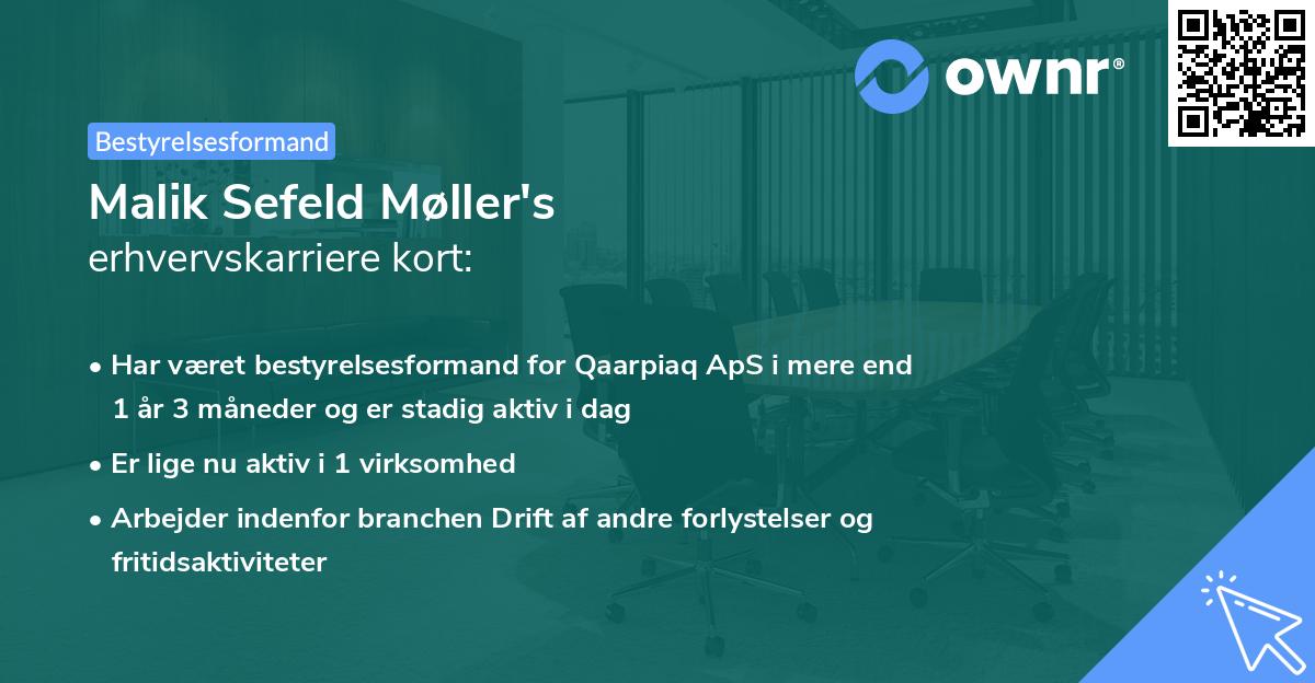 Malik Sefeld Møller's erhvervskarriere kort