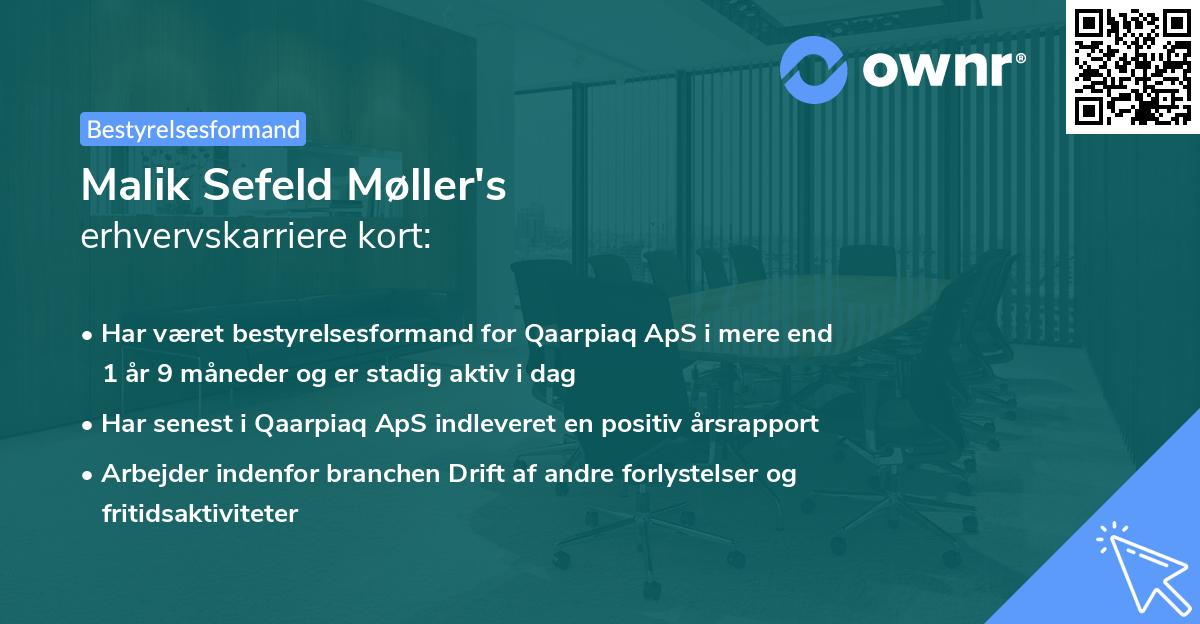 Malik Sefeld Møller's erhvervskarriere kort