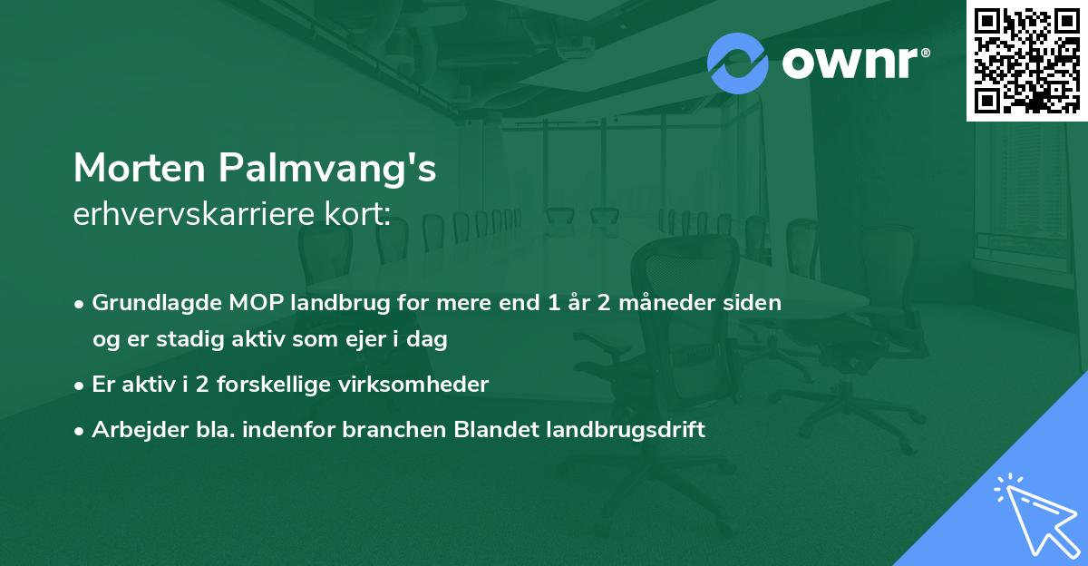 Morten Palmvang's erhvervskarriere kort