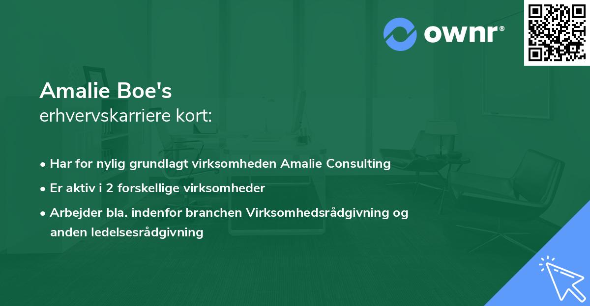 Amalie Boe's erhvervskarriere kort